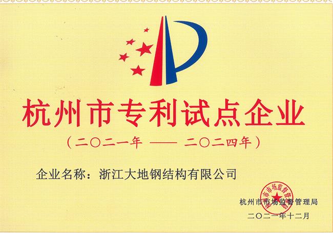 杭州市专利试点企业